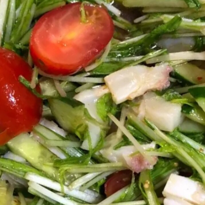 たこと水菜のピリ辛中華サラダ